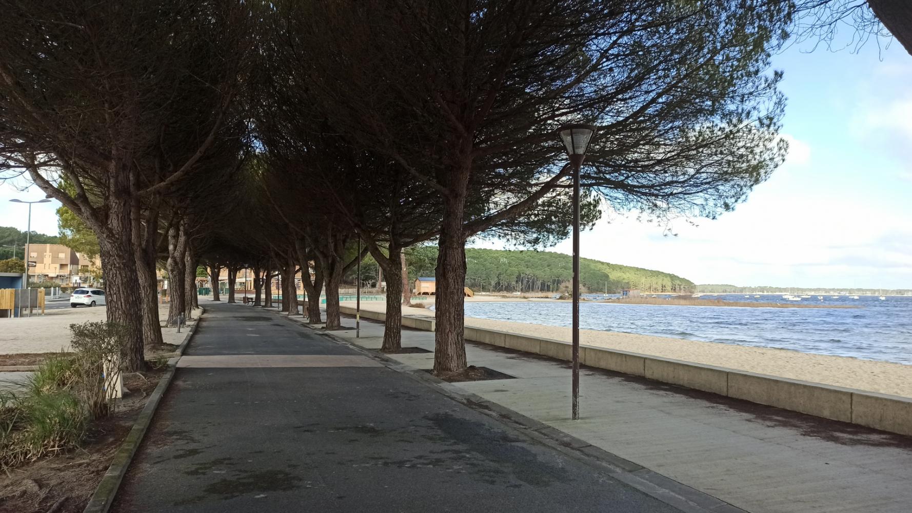 Front de lac de Maubuisson