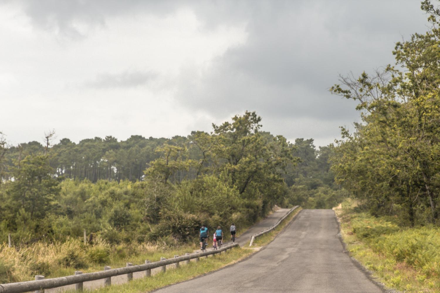 Route d'accès au site 