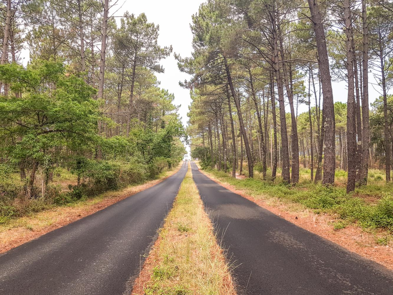 Accès routier et cyclable à La Lette Blanche