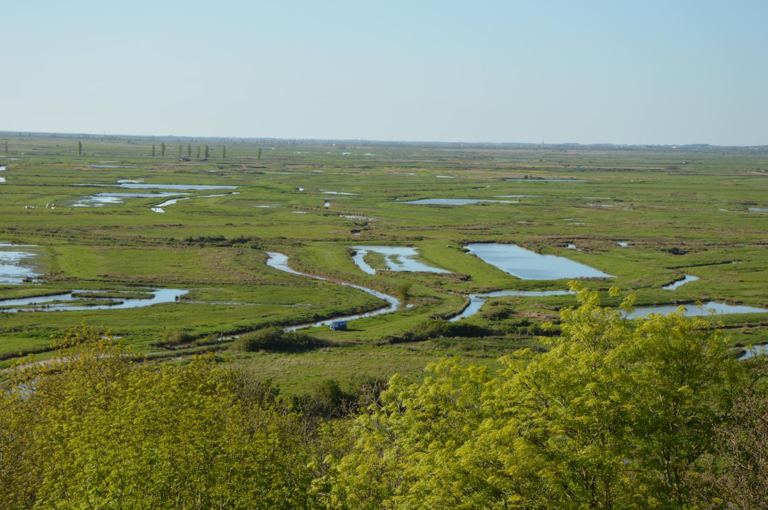 Marais de Brouage