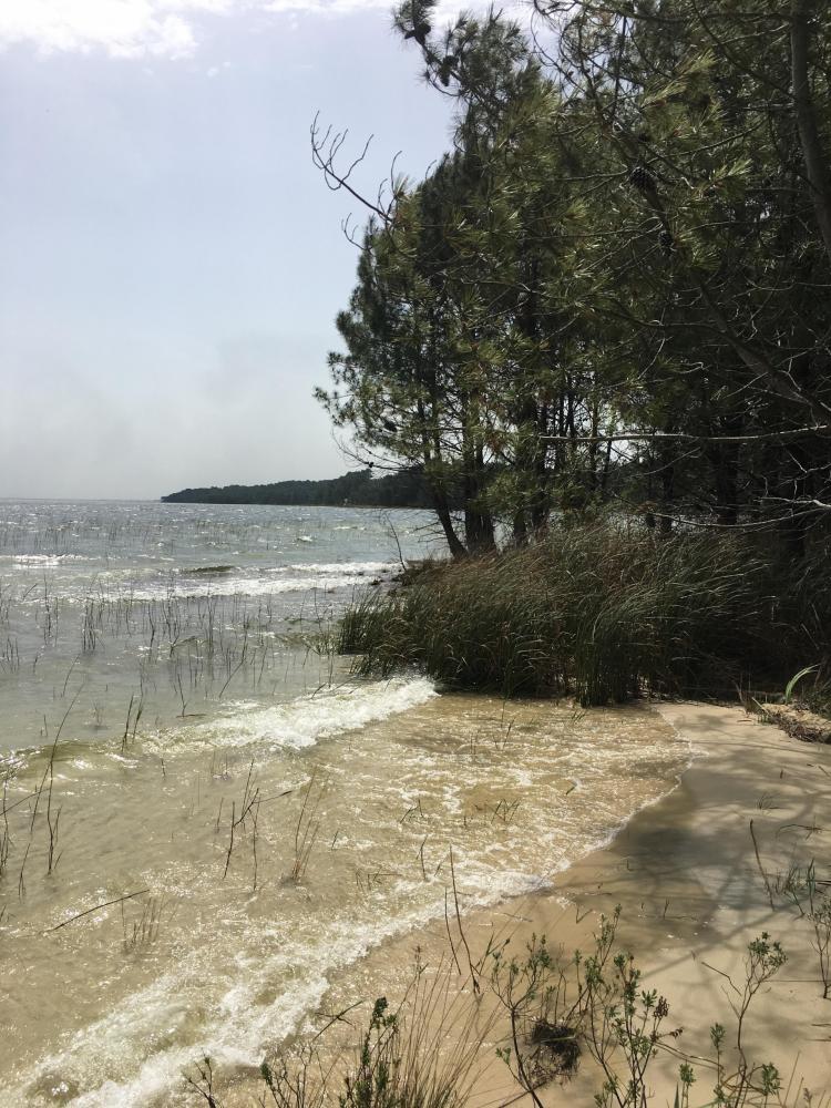 Mettre en valeur les berges du lac