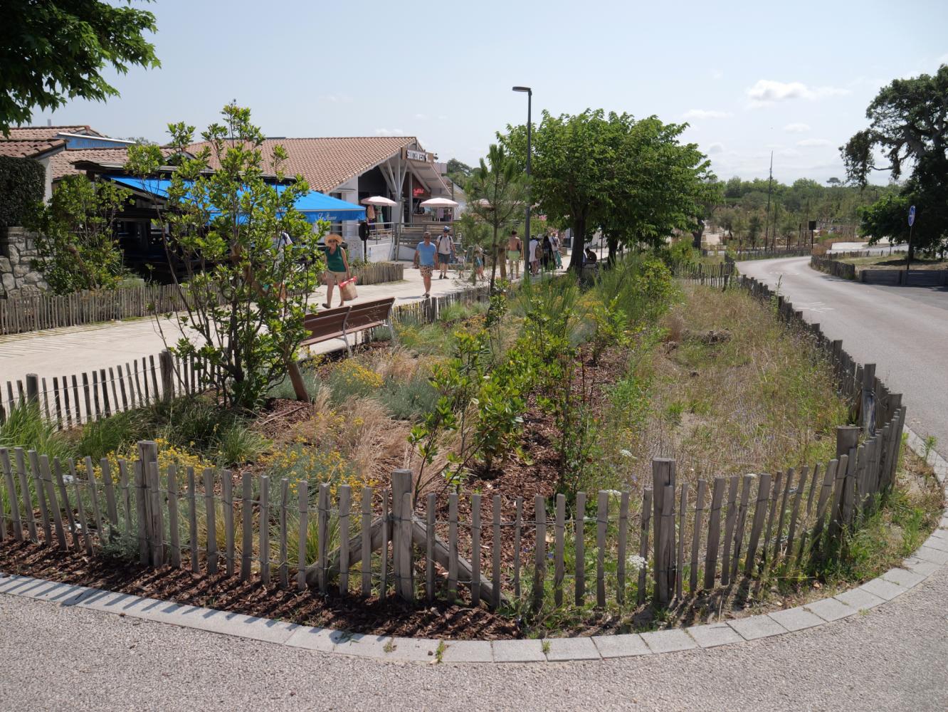 Noue d'infiltration des eaux pluviales le long de la montée à la plage - Travaux 2025 