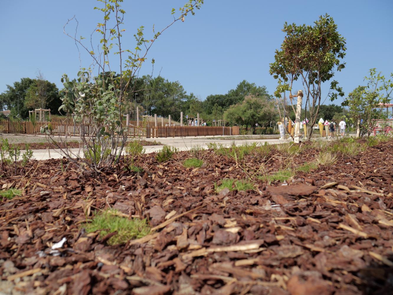 Espaces renaturés - Travaux 2025 