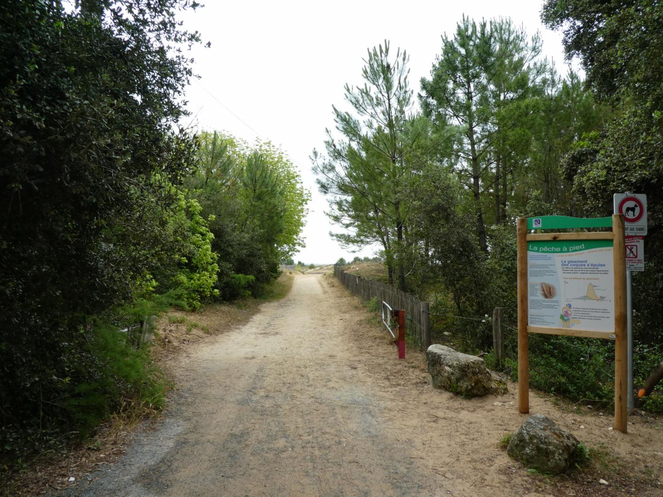 acces plage - Boyardville