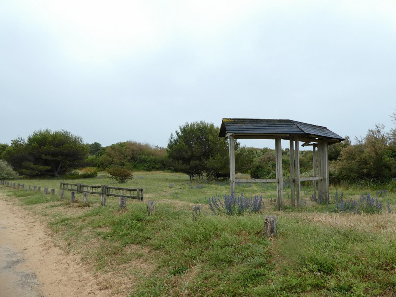 parking vélos et panneau d'information - L'Ileau