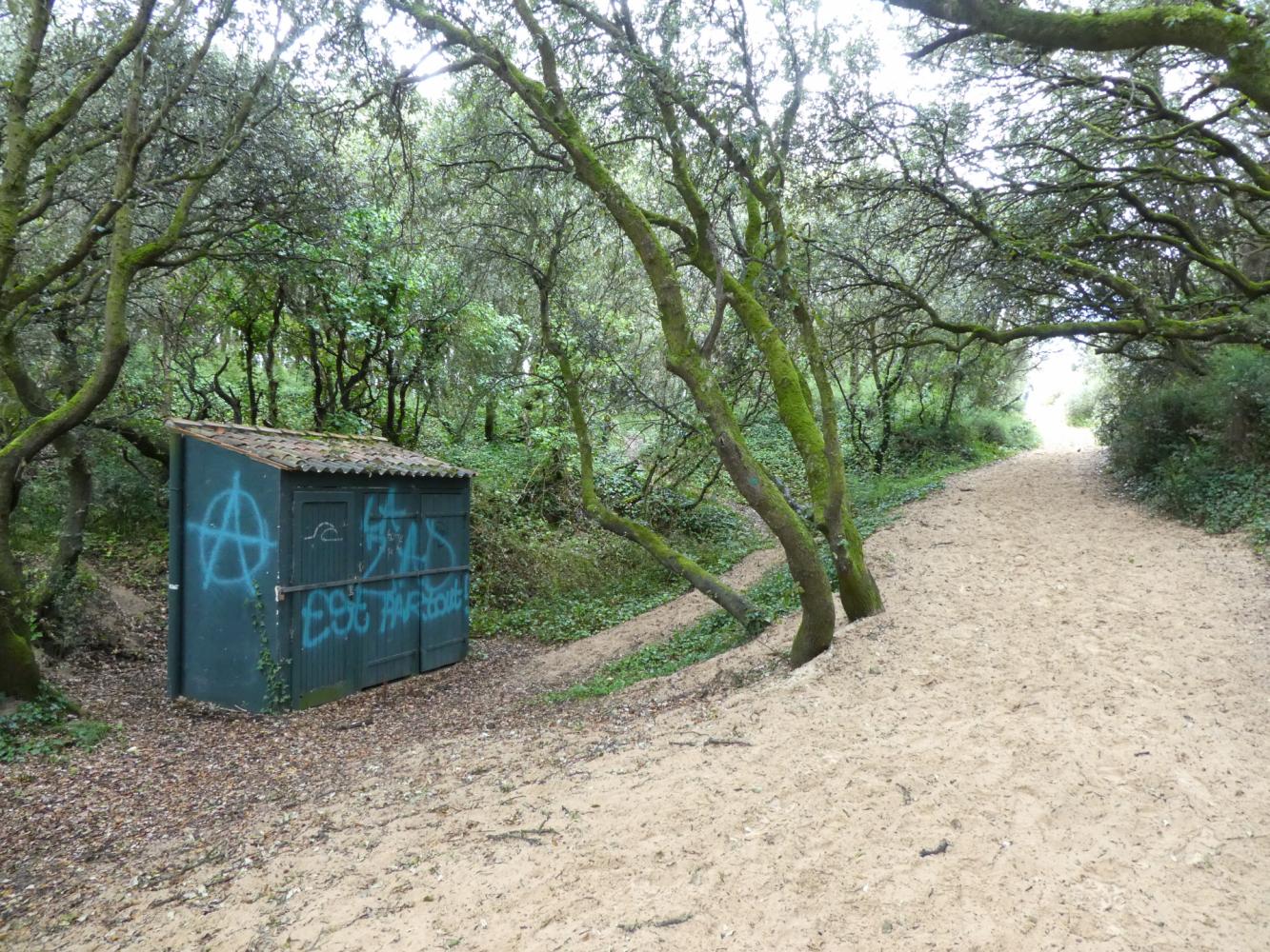 accès plage - Le Treuil