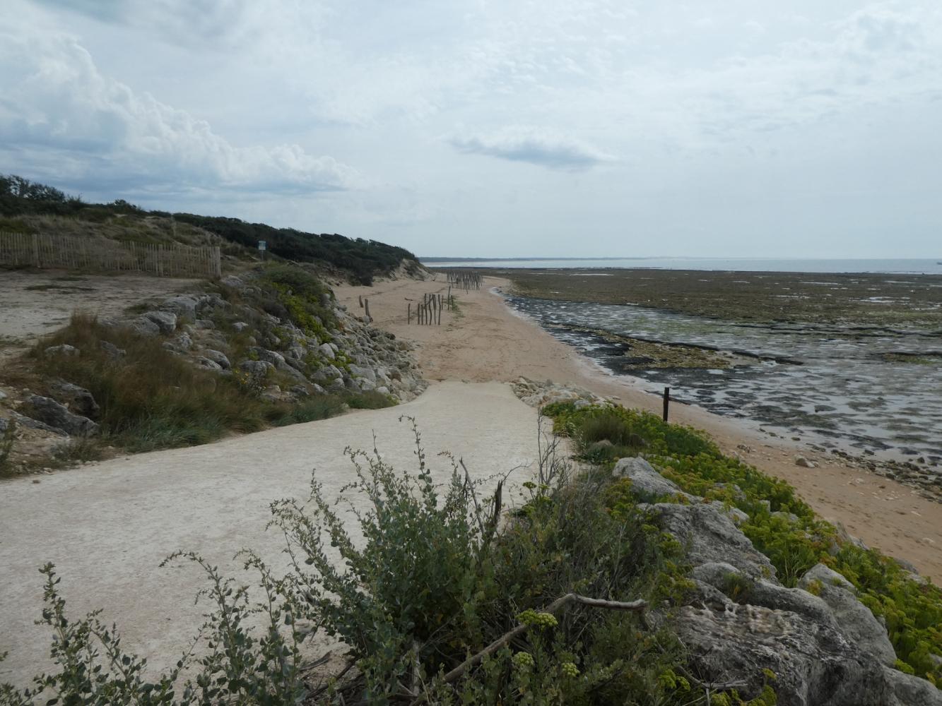 Descente de plage 2 - L'écuissière