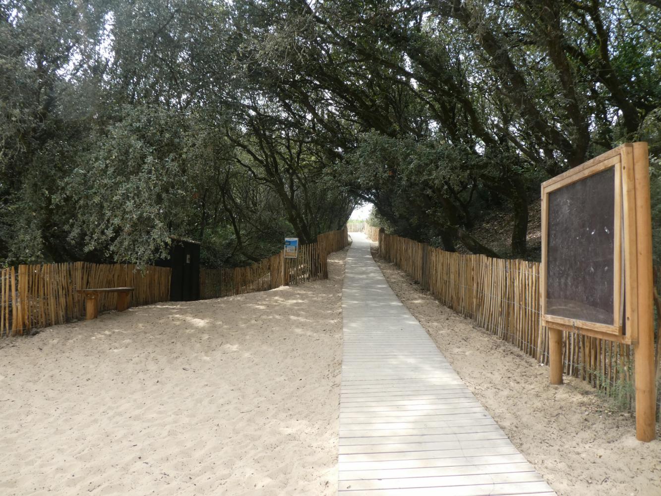 Accès plage - Le Treuil