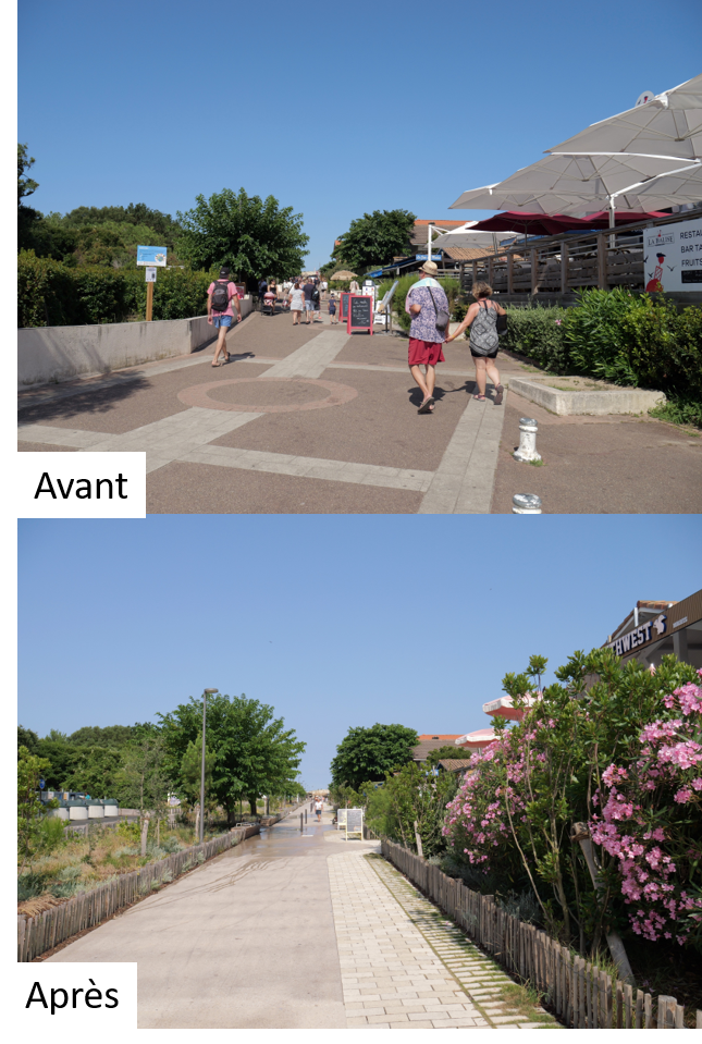 Avant - Après de la montée à la plage et de la noue 