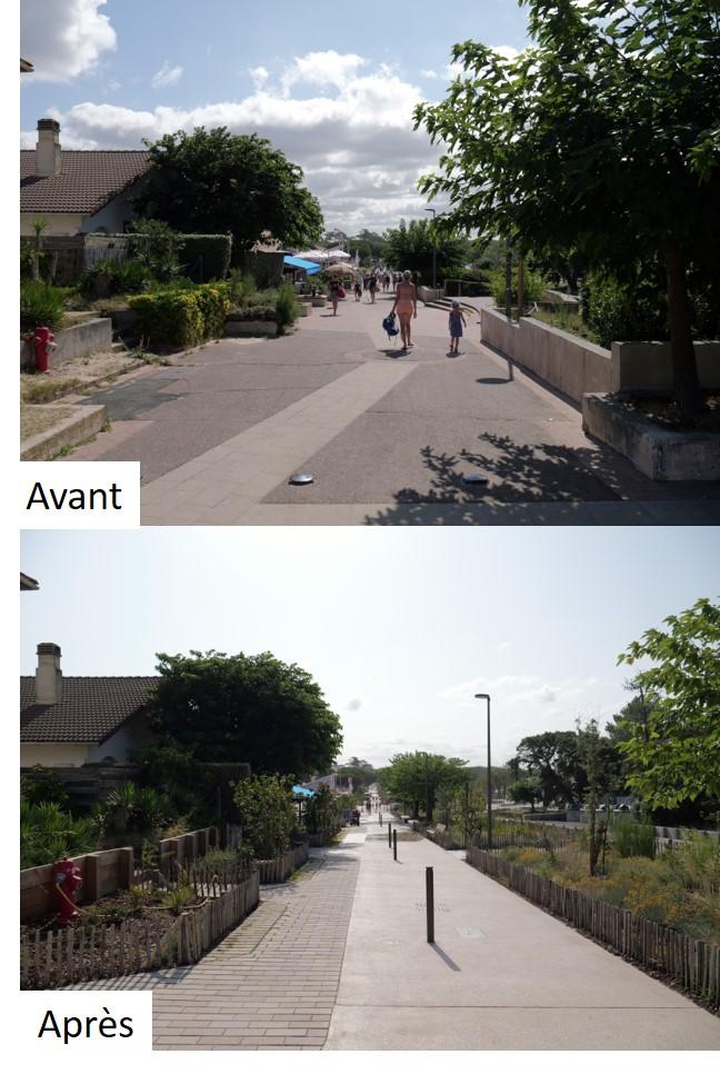 Avant - Après de la montée à la plage et de la noue 