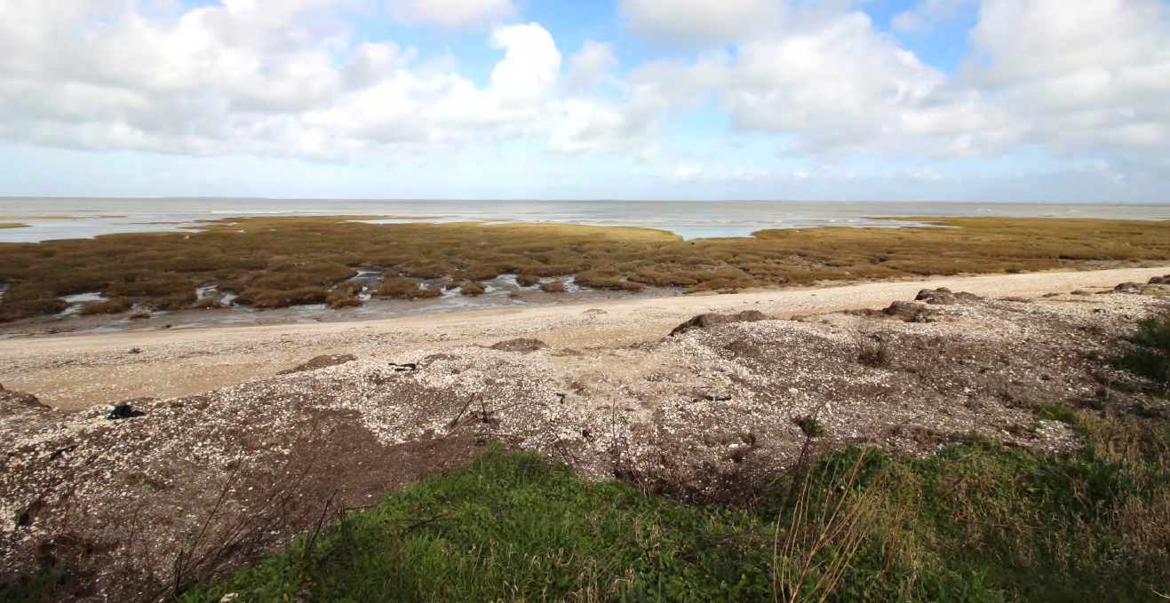 Photo illustration sentier littoral Oléron_2 @ADP