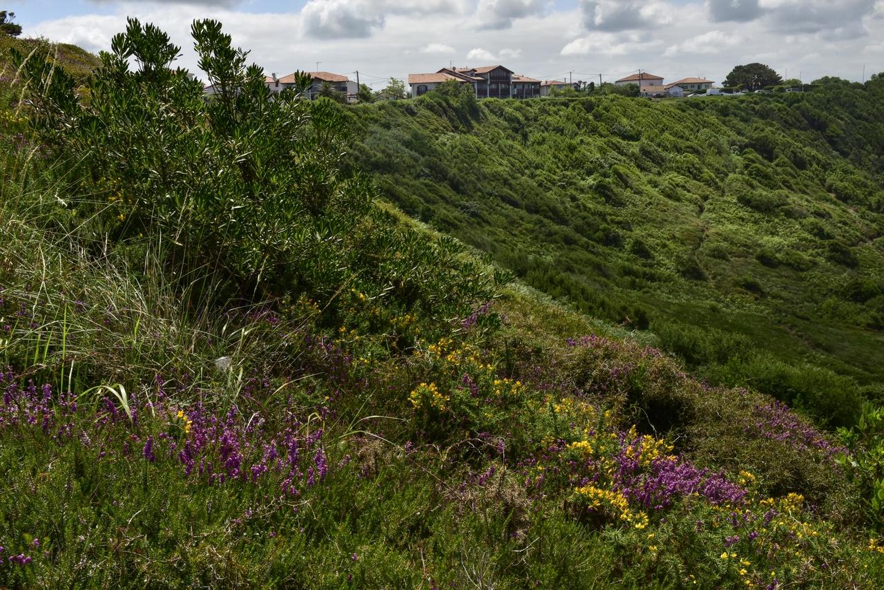 Restauration des milieux naturels 2020 