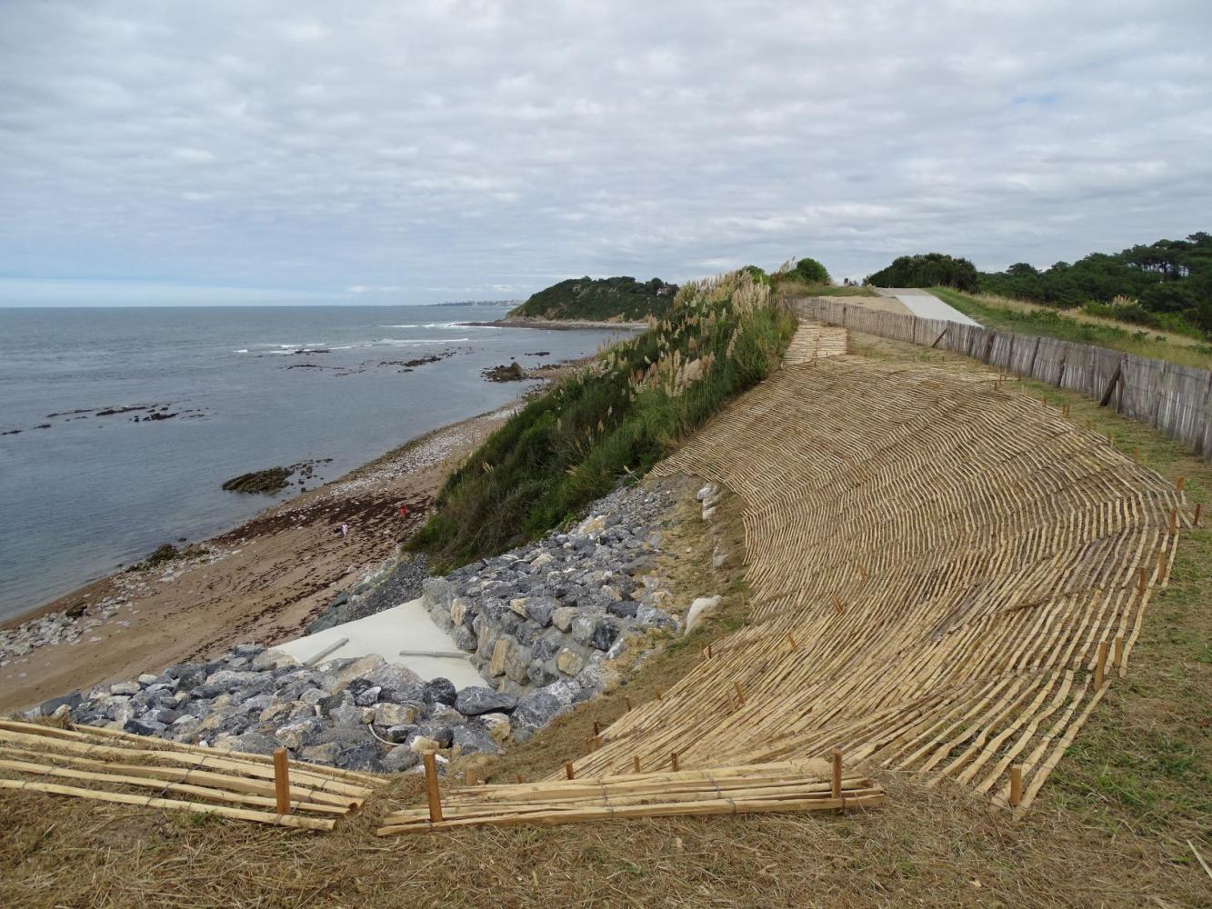 Programme de revégétalisation de falaises entrepris par la commune en 2020 