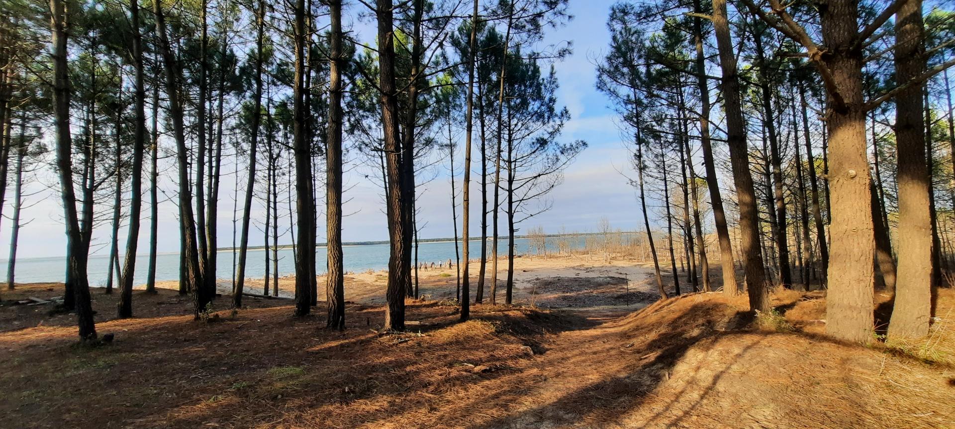 Sentier entre les deux plages
