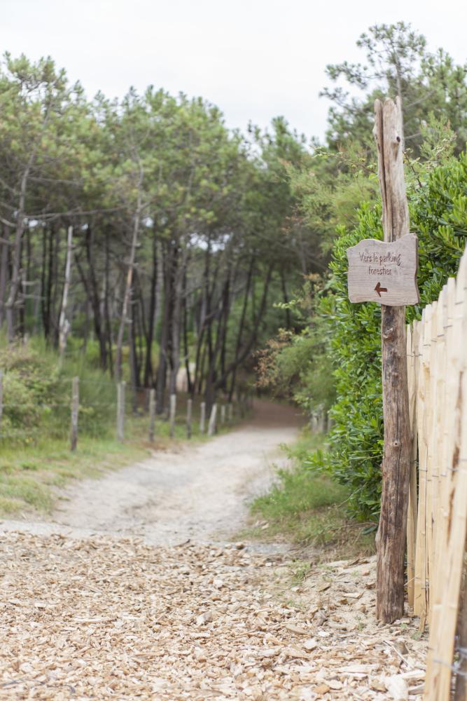 Signalétique en bois flottée