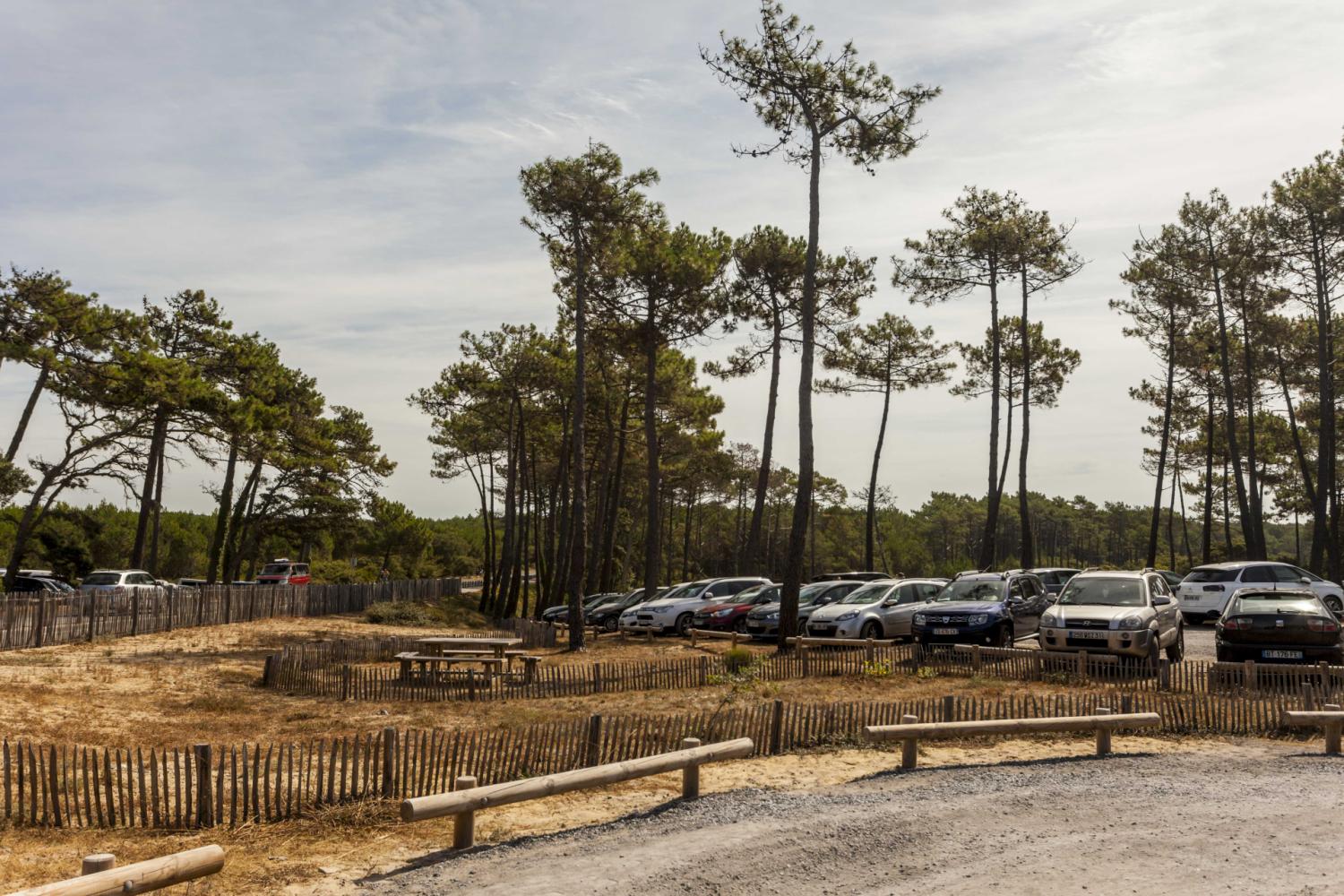 Requalification du parking sous couvert forestier