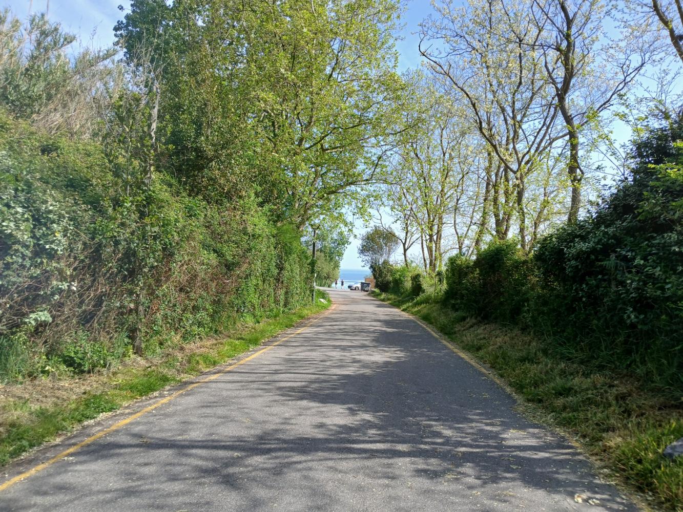 Voie d'accès au site