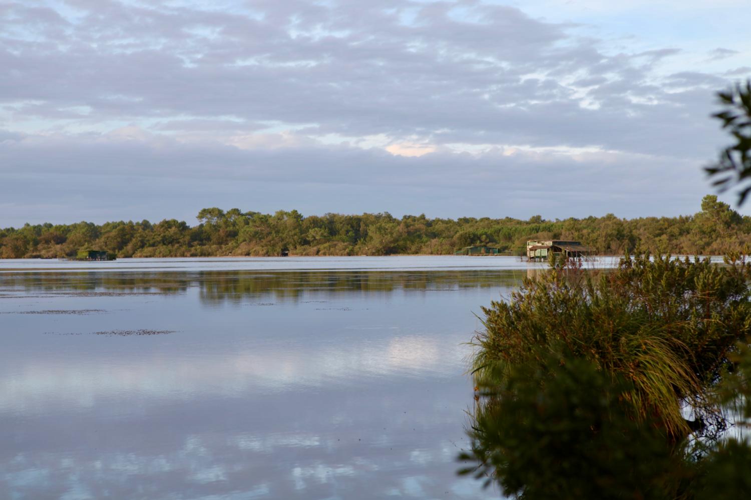 Vue sur l'étang blanc 