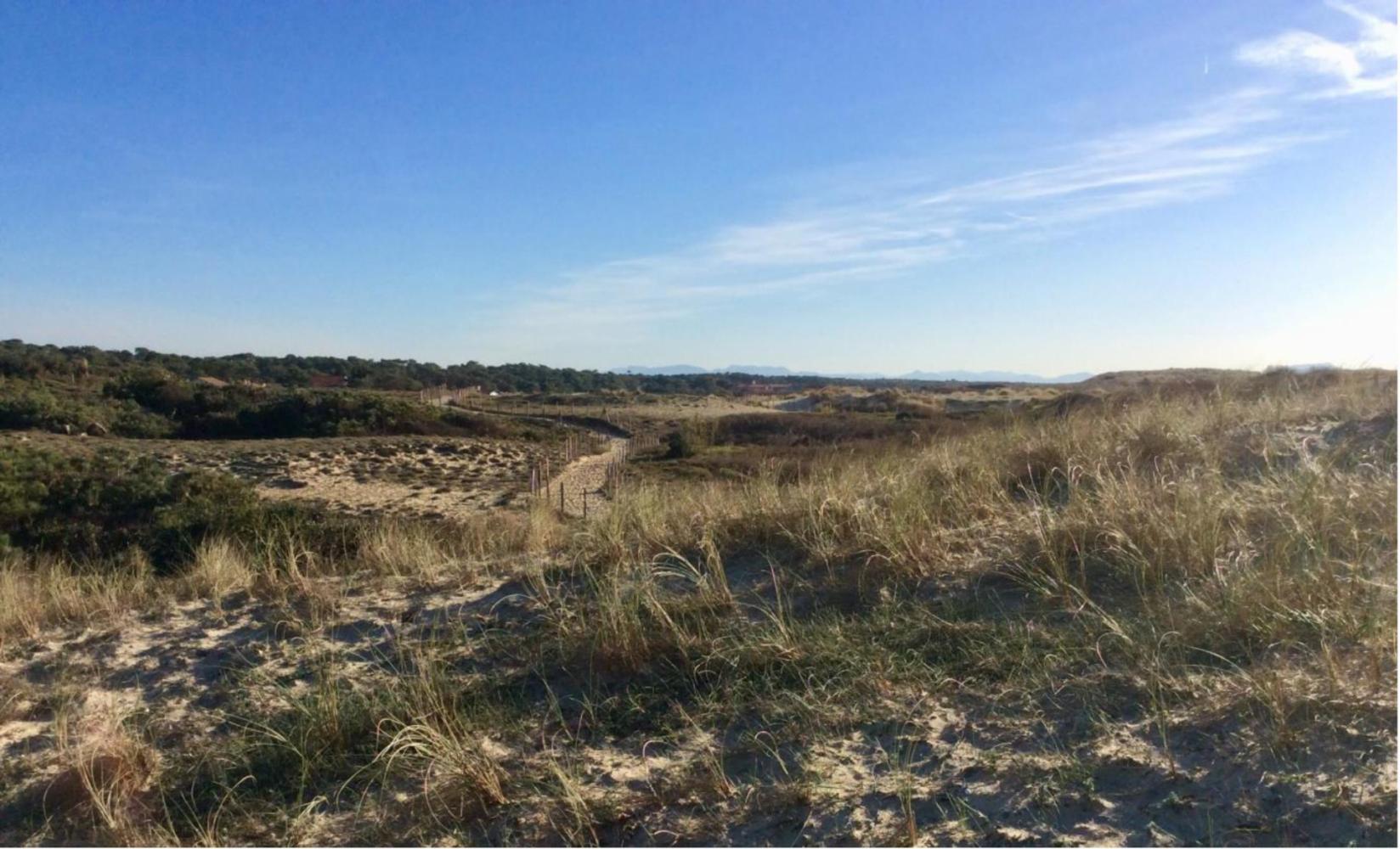 Dune entre Santocha et la Piste - février 2020