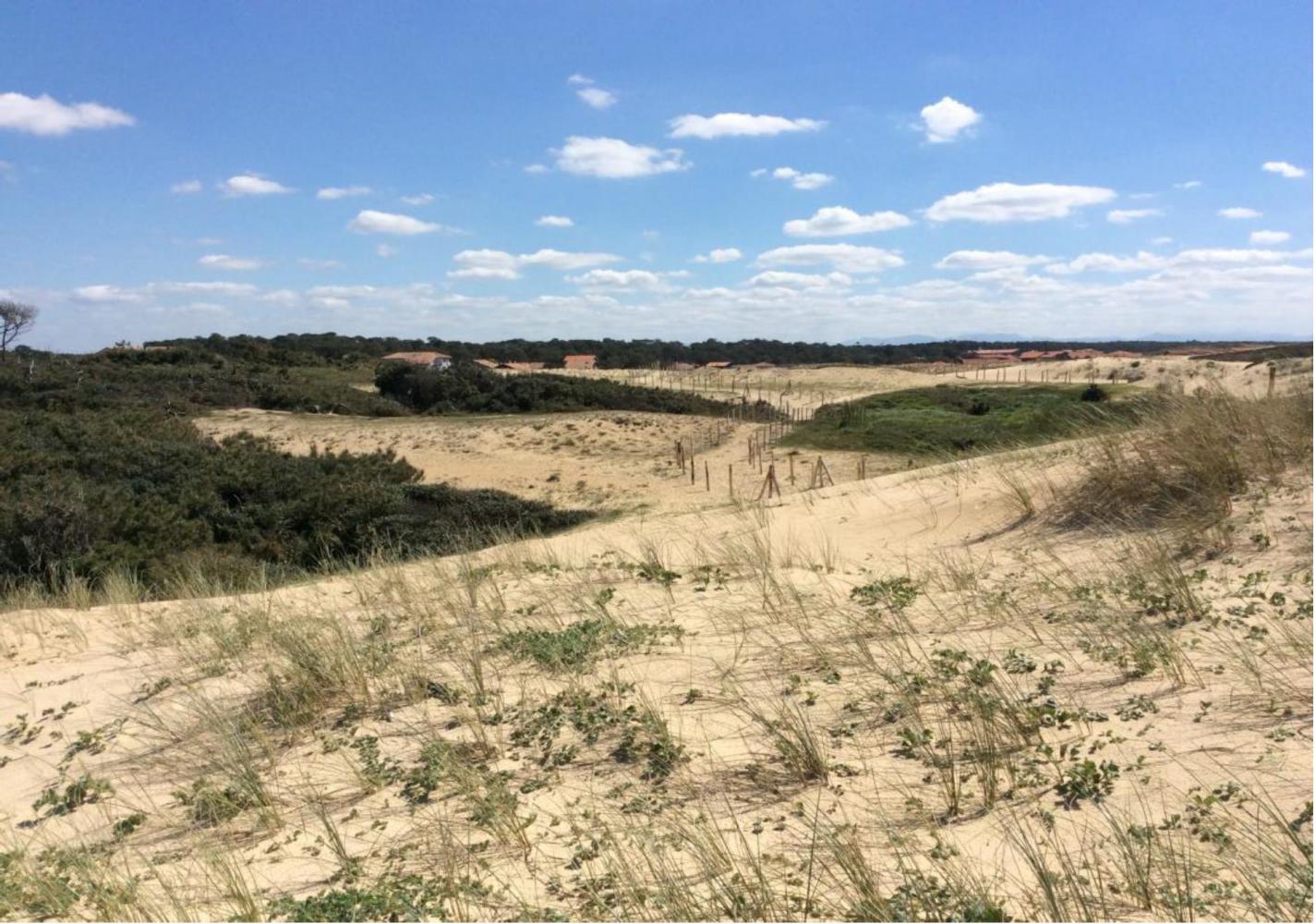 Dune entre Santocha et la Piste - octobre 2016