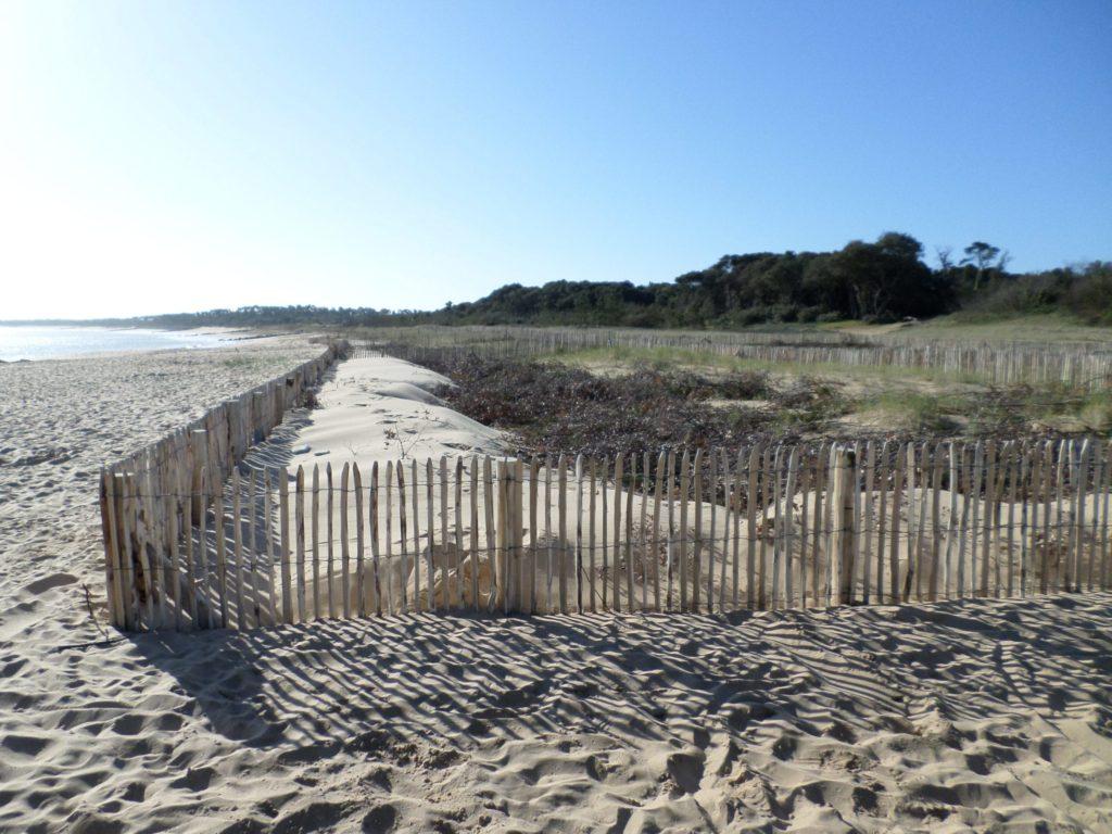 Dispositif de ganivelles de la Plage de Plaisance