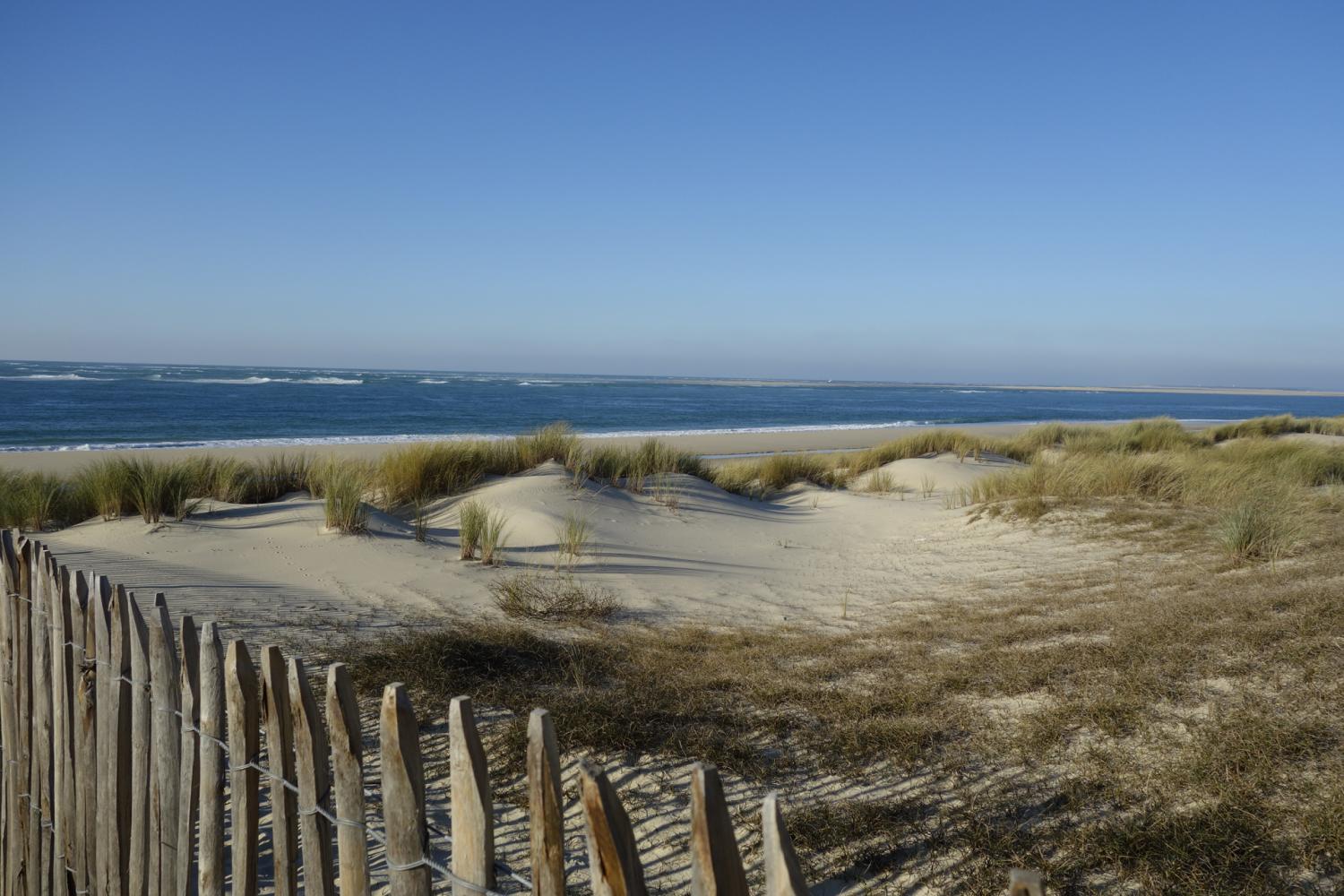 Dune La Lagune (photo prise avant incendie)