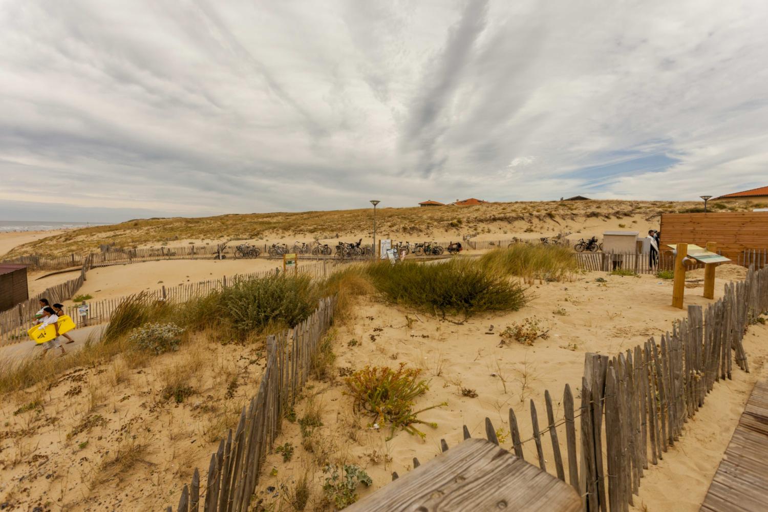 Dispositifs de protection de la dune