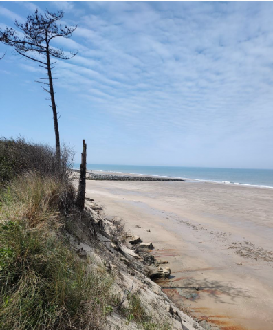 Erosion - secteur Médoc Nord